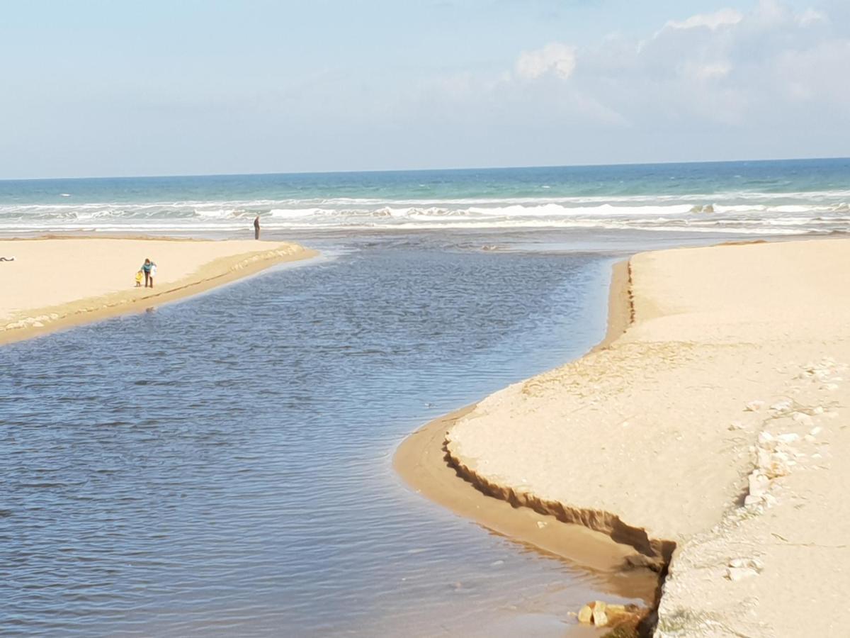 Apartamento Mar Y Sol, 德尼亚 外观 照片